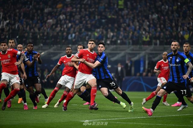 其在世界花 其在世界花