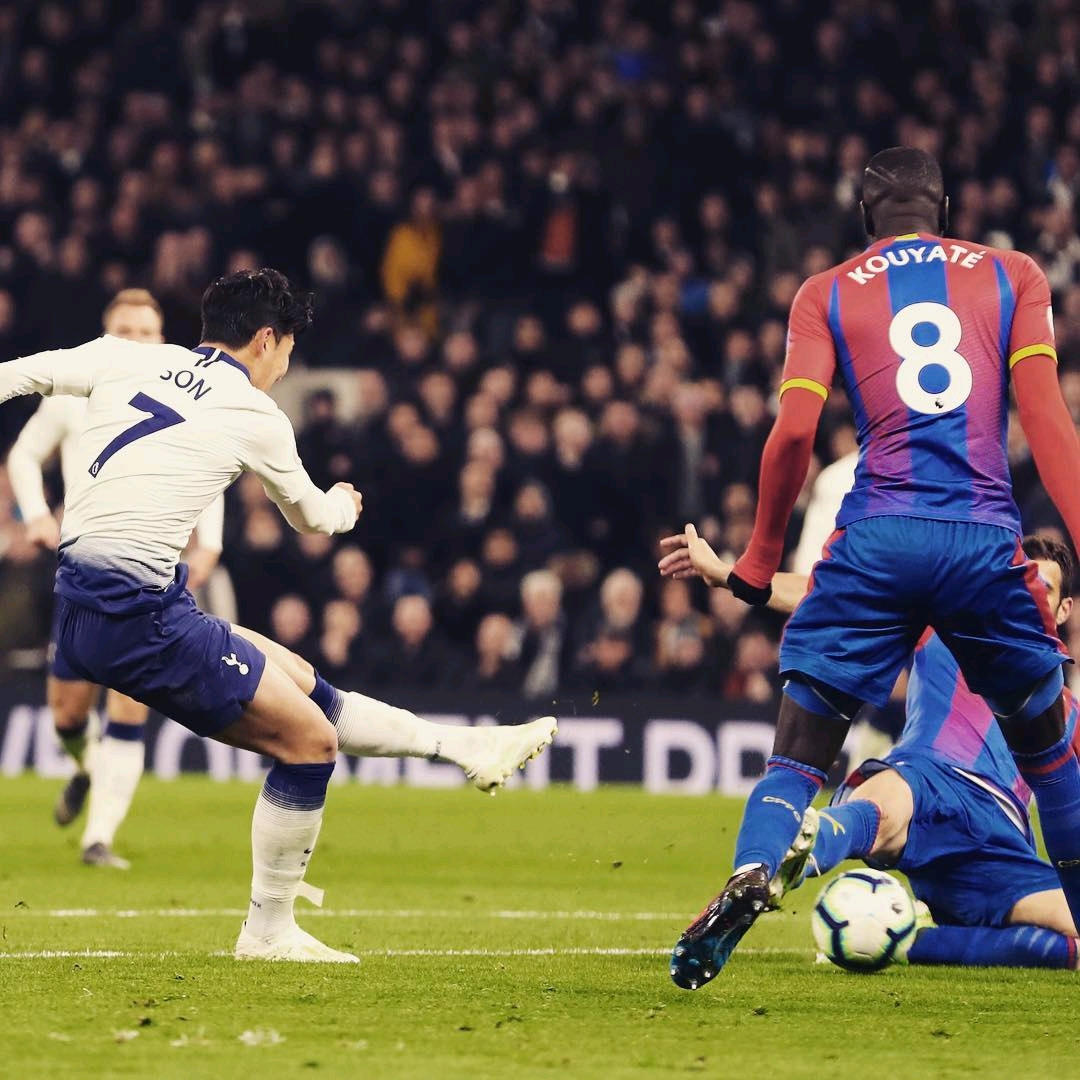 员提供了展 员提供了展