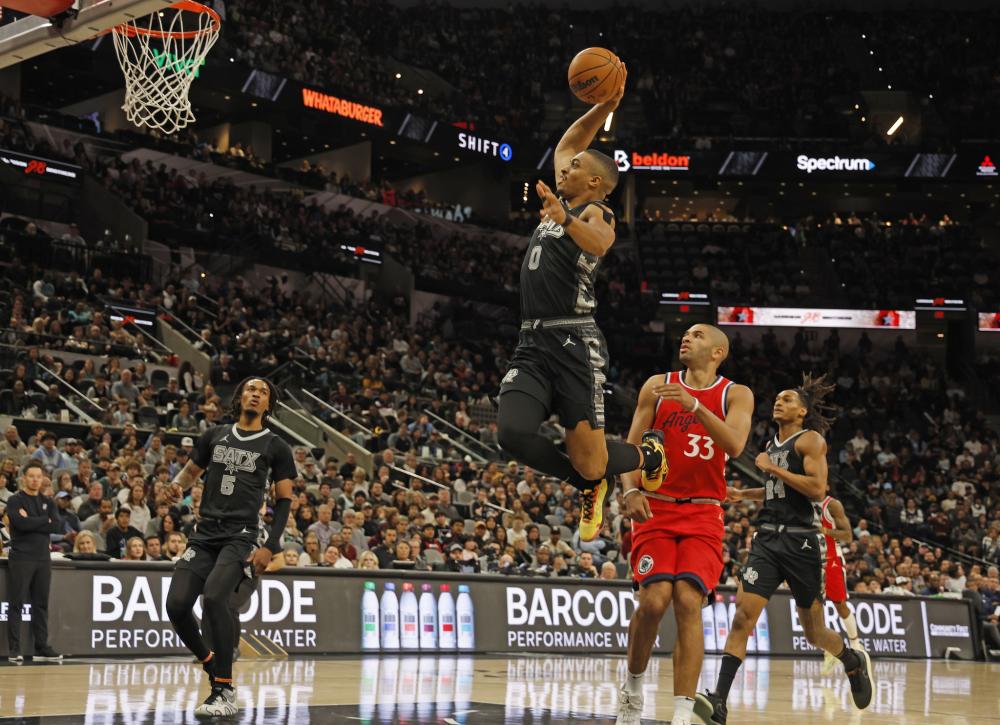 的世界羽毛 的世界羽毛